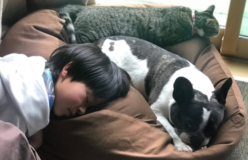 一緒に寝る犬と子供